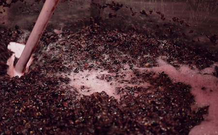 No.565 秩父ルージュプレミアムキュベ　ウイスキー樽熟成＆ミズナラオークチップ浸漬