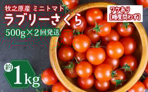 訳あり ミニ トマト フルーツ トマト ラブリーさくら うまたま 予約 受付 500g × 2回発送 計 1kg 国産 野菜 フルーツ 甘い 別送 静岡県 牧之原市 山本農園