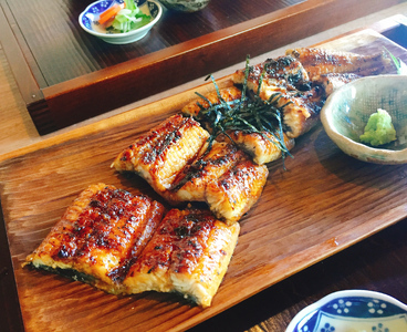 うなぎ蒲焼（大サイズ）1尾　鰻肝＆鰻骨せんべい付きうなぎ蒲焼（65-04）