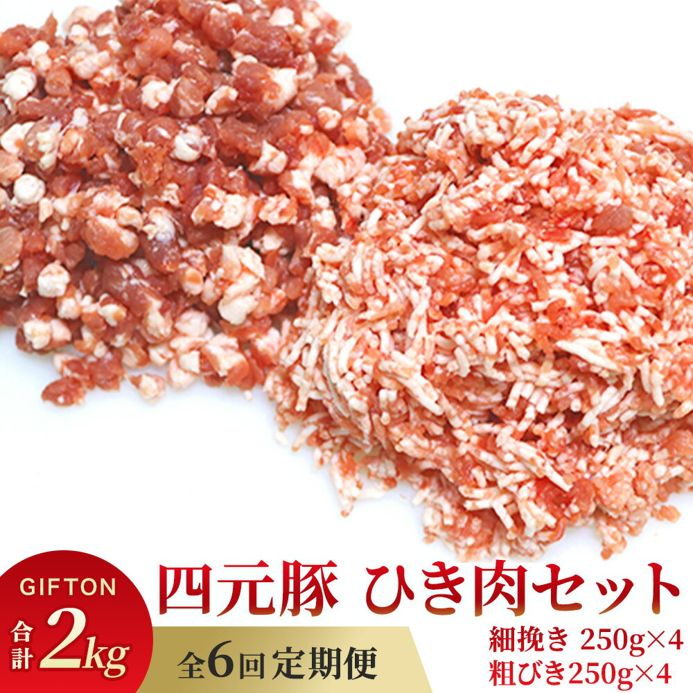 【ふるさと納税】定期便 6ヶ月 岩手 四元豚 ひき肉 2kg セット GIFTON ( 細挽 250g ×4 粗挽 250g ×4 ) 希少 豚肉 ブランド豚 ミンチ ポーク 挽肉 挽き肉 豚肉 粗挽 細挽 小分け ハンバーグ 麻婆豆腐 餃子 冷凍 夕飯 料理 ごえん株式会社 ※レビューキャンペーン対象品※