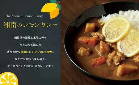 【100％湘南のレモン果汁を使ったカレー10食セット】相模湾の太陽と潮風が育んだ爽やかな味わいを、お手軽に楽しめます！！【 カレー 神奈川県 小田原市 】