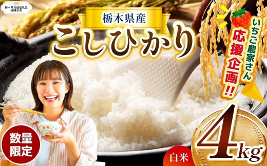 【栃木県共通返礼品】【先行予約】訳あり数量 限定 定期便 令和8年度 栃木県産コシヒカリ 約 4kg | 数量限定 こしひかり  精米 白米 米 ごはん おいしい  密閉パック ふるさと納税 那珂川町 栃木県