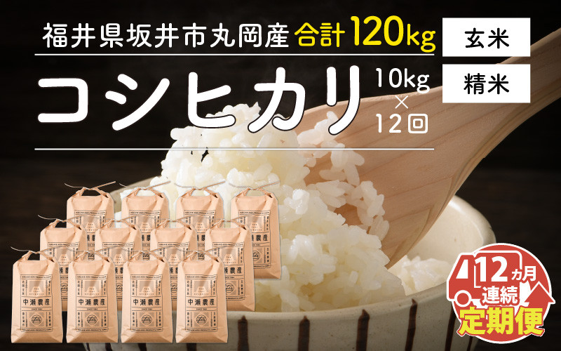 
            【先行予約】【令和7年産・新米】【12ヶ月連続お届け】福井県坂井市丸岡町産 コシヒカリ10kg×12回 計120kg（精米方法選べます）【2025年10月より順次発送予定】 [P-11301]
          