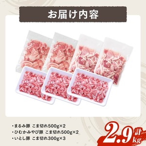 宮崎県産豚　川南ブランド豚「まるみ豚・ひむかみやび豚・いとし豚」3種食べ尽くし！こま切れセット　計2.9kg 【 宮崎県産 豚 豚肉 こま切れ 】