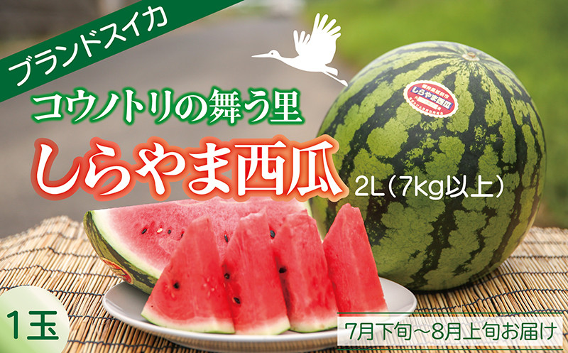 
            〈2025年 先行予約〉【コウノトリが舞う里で栽培される西瓜】しらやま西瓜　2L（7kg以上）1玉　ブランドスイカ　
          