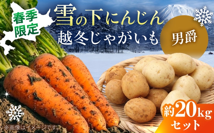 
                  【2027年3月下旬以降順次発送】 雪の下にんじんと越冬じゃがいもセット 計20kg（男爵）|  野菜セット 野菜 セット にんじん じゃがいも  先行予約 | 道の駅 真狩フラワーセンター [BPAM032]
                