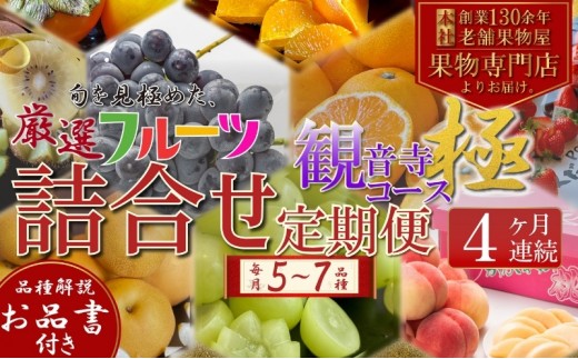 定期便　旬を見極めた、厳選フルーツ詰合せ【観音寺コース-極-】4ヶ月連続　（いちご、みかん、はっさく、せとか、スイートスプリング、清見オレンジ、甘夏みかん、桃、梨、ぶどう、マスカット、柿）