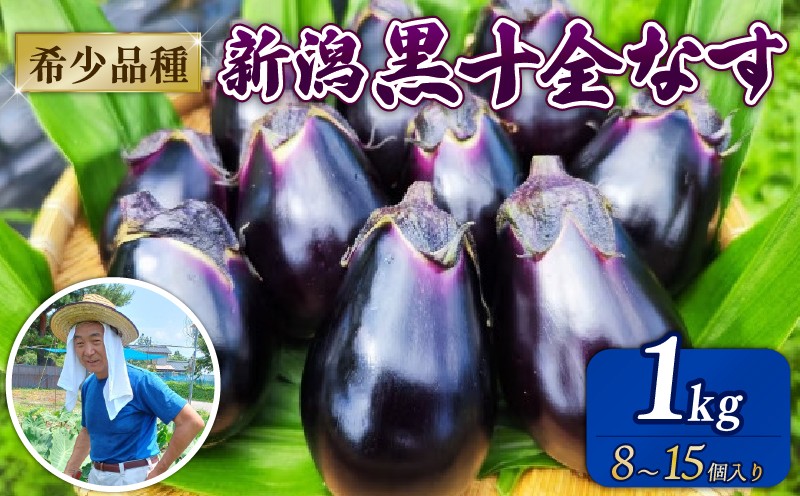 
            新潟黒十全なす 新鮮 朝採り 採りたて 1kg 令和7年産 茄子 ナス 特産品 野菜 夏野菜 つぐちゃん畑 新潟 新潟県 新発田産 新発田市 tsuguchan002
          