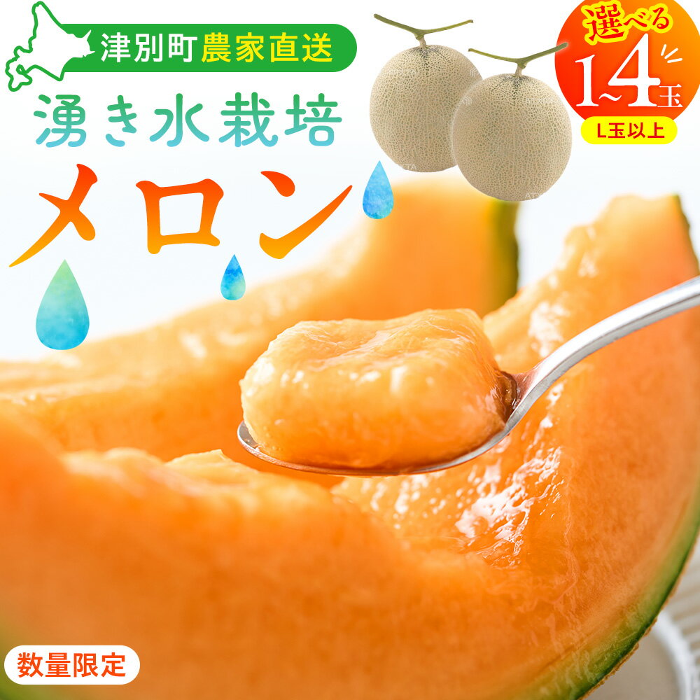 【ふるさと納税】[数量限定・R8年収穫分]さのさん家のメロン（L玉以上）1玉 湧き水栽培 さの農場 | 先行予約 北海道産 産地直送 高糖度 お中元 夏ギフト 赤肉 果物 デザート 北海道 津別町