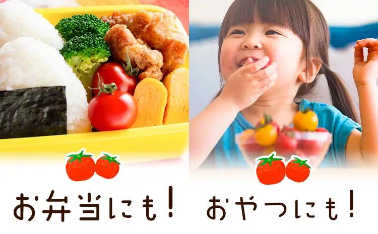 ミニトマト キャロルセブン 約1kg トマト