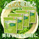 【ふるさと納税】お茶 新茶 受付あり お茶 八十八夜摘み 深蒸し掛川茶ティーバッグ 2g20個入り4袋セット 美笠園〔 緑茶 煎茶 静岡 掛川茶 〕