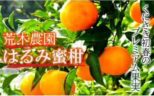 
            【令和8年2月から発送】荒木農園のはるみ約4kg/弾ける果肉に感動のプレミアム蜜柑_1395R
          