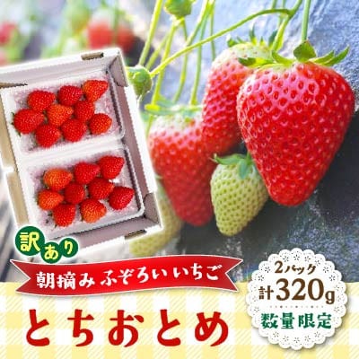数量限定　訳あり　朝摘みふぞろいいちご「とちおとめ」2パック 320g　2027年1月中旬～発送開始【配送不可地域：離島・沖縄】【1758933】
