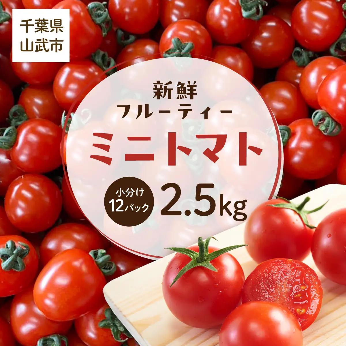【先行予約】【発送期間は5月中旬～7月中旬、9月上旬～11月下旬】新鮮でフルーティーな小川ファームのミニトマト2.5kg(12パック入り)