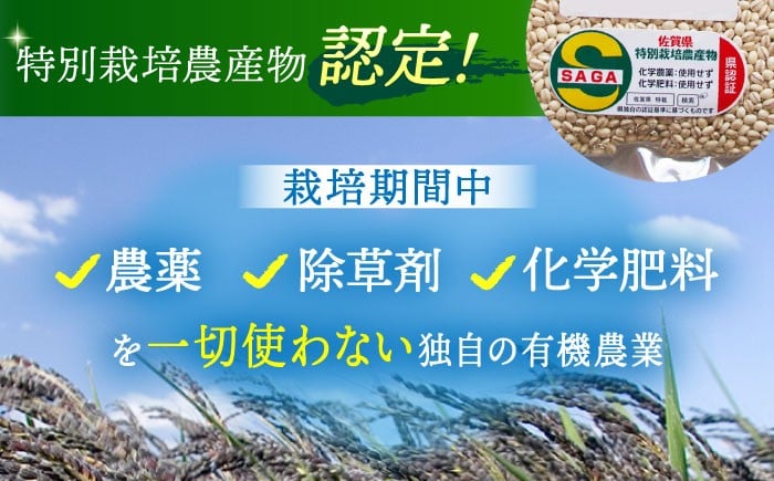 【栽培期間中農薬不使用】丸麦 500g＜1等麦使用＞江北町産 サチホゴールデン【葦農】[HAJ012] / 麦 雑穀 雑穀米