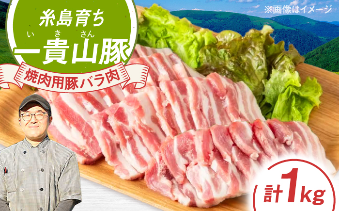 一貴山豚 焼肉用バラ肉 計1kg(250g×4p) 糸島市 / いきさん牧場 豚肉 [AGB035] 豚肉 豚 ブランド豚 一貴山豚 ポーク バラ 豚バラ 脂身 小分け 250g