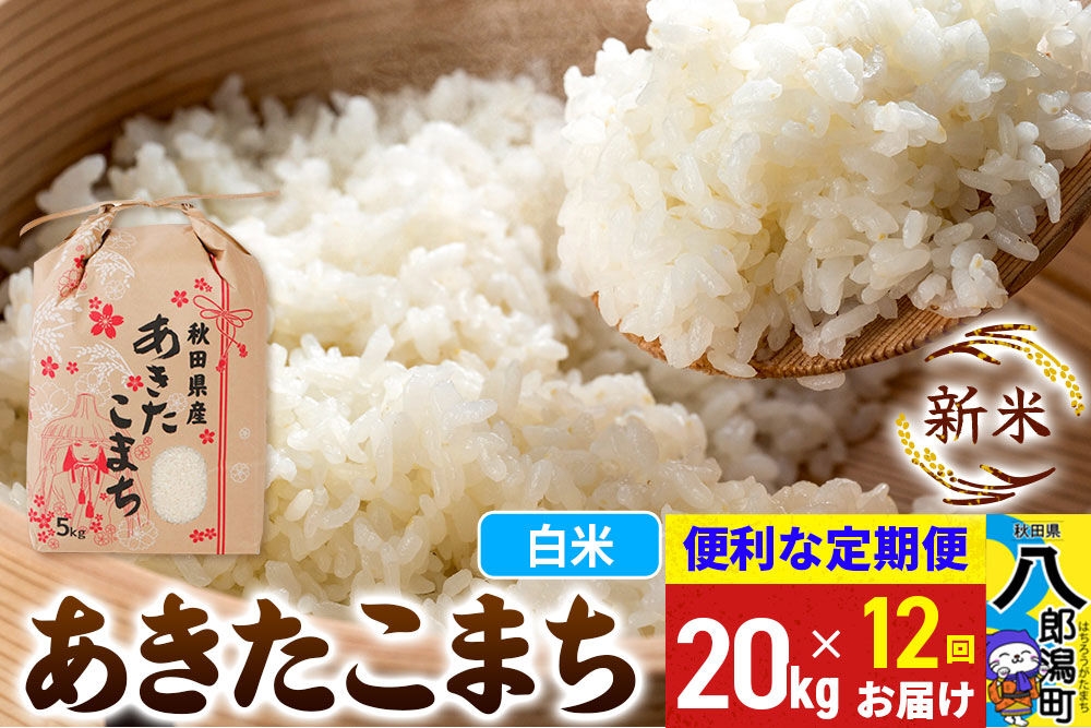 
                  《新米》《定期便12ヶ月》あきたこまち 20kg【白米】 令和8年産 秋田県産 こまちライン [新米 こまちライン あきたこまち ブランド米 お米 白米 精米 無洗米 米どころ 秋田 秋田県産]
                