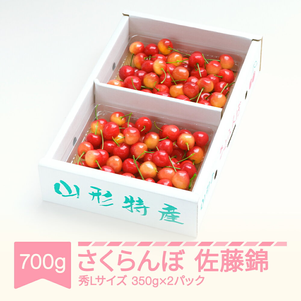 【ふるさと納税】先行予約 さくらんぼ 佐藤錦 秀Lサイズ プレゼント ギフト バラ詰め 700g(350g×2パック) 2025年産 令和7年産 山形県産 送料無料 サクランボ