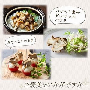箱入りあわび メキシカンチリスープ風 白ワイン煮風 2個セット 缶詰 鮑 アワビ 翡翠鮑 箱入り 国産 海鮮 養殖 おつまみ 大船渡 三陸 岩手