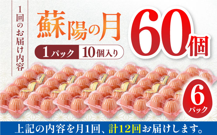 【全12回定期便】熊本県産 蘇陽の月 60個入り ( 10個入り × 6パック ) 山都町 たまご 卵【蘇陽農場】 [YBE024]