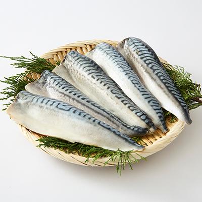 ふるさと納税 茨木市 【骨取り】無添加トロさばフィーレ 無塩 5切(約550g) |  | 01