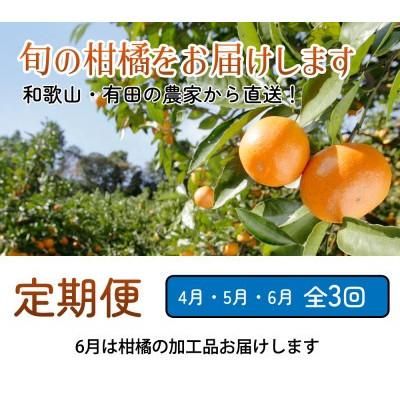 ふるさと納税 広川町 【発送月固定定期便】家庭用 柑橘定期便M(4〜6月)全3回 |  | 01
