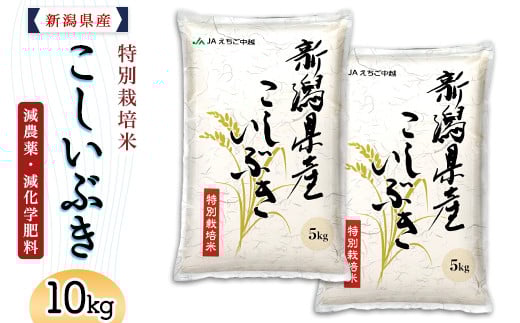75-7K101新潟県長岡産特別栽培米こしいぶき10kg（5kg×2袋）【2026年5月発送】