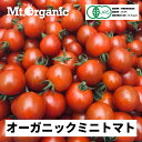 【ふるさと納税】《令和7年産先行予約》 オーガニック ミニトマト 約1.2kg 約4kg 選べる 農家直送 有機JAS認証 有機 プチトマト 2025年発送《hida0307》