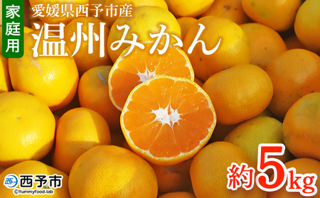 ＜愛媛県西予市産 温州みかん 家庭用 約5kg ＞ 果物 くだもの ミカン 柑橘 フルーツ 訳あり ワケアリ 旬 特産品 段畑みかん 愛媛県 西予市【常温】『2025年10月中旬～11月中旬迄に順次出荷予定』ADM0002