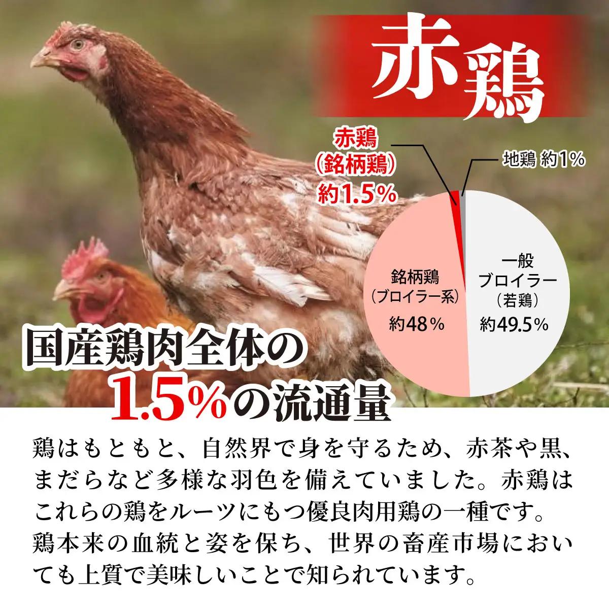 鶏肉 地鶏丹波黒どり2kg・丹波赤どり むね肉 2kg 訳あり鶏肉