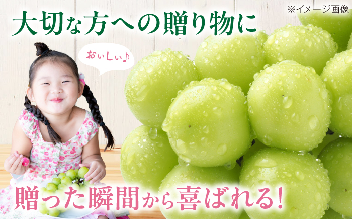 【先行予約】【2026年9月上旬より順次発送】秀品 シャインマスカット約2kg（3〜5房）　愛媛県大洲市/沢井青果有限会社 [AGBN006] シャインマスカット 葡萄 マスカットぶどう 葡萄 フルー