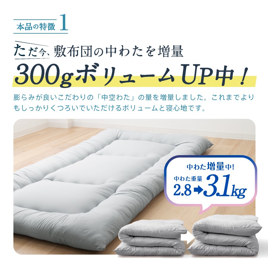 福岡県産 防ダニ抗菌敷布団 シングルロング 100cm×210cm
