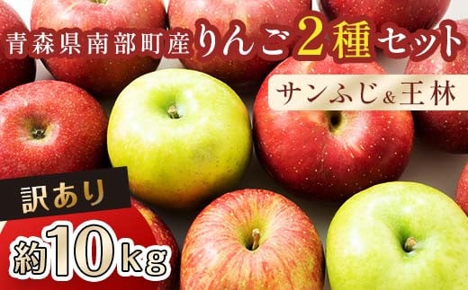 【訳あり】 青森産 完熟 りんご 約10kg サンふじ 王林 2種セット （中～大玉） 【誠果園】 青森りんご リンゴ 林檎 アップル あおもり 青森 青森県 南部町 三戸 南部 澁川賞受賞 果物 くだもの フルーツ 家庭用 わけあり ワケアリ 訳アリ 規格外品 F21U-227