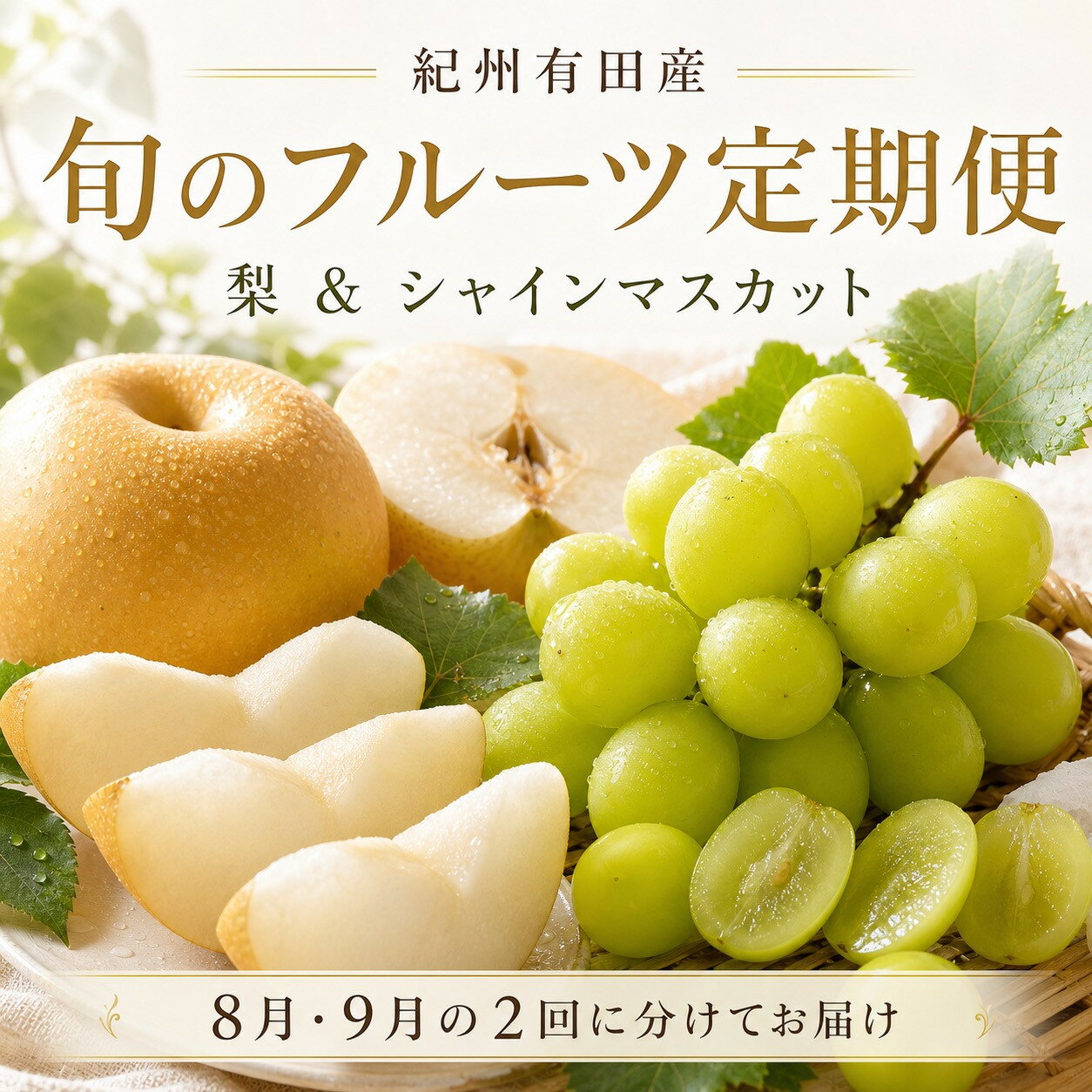 【ふるさと納税】定期便 8・9月発送 紀州有田産旬のフルーツセット（梨×約2kg 化粧箱入・シャインマスカット×約2kg） | フルーツ 果物 くだもの 食品 人気 おすすめ 送料無料 定期便