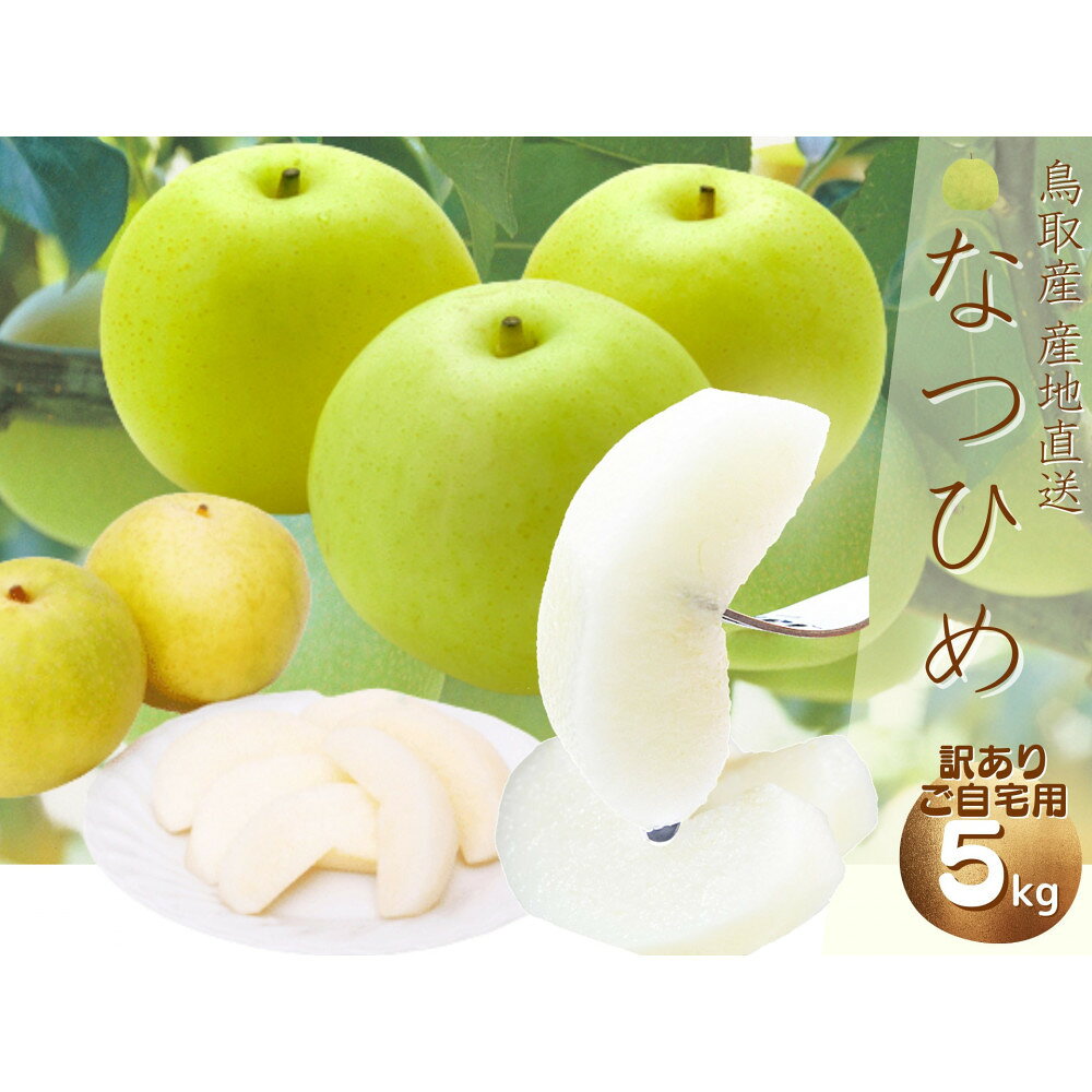 【ふるさと納税】【数量限定】鳥取県産 梨 訳あり ご自宅用 なつひめ 5kg | 鳥取 訳あり 梨 なし なつひめ 期間限定 送料無料 鳥取県 鳥取市
