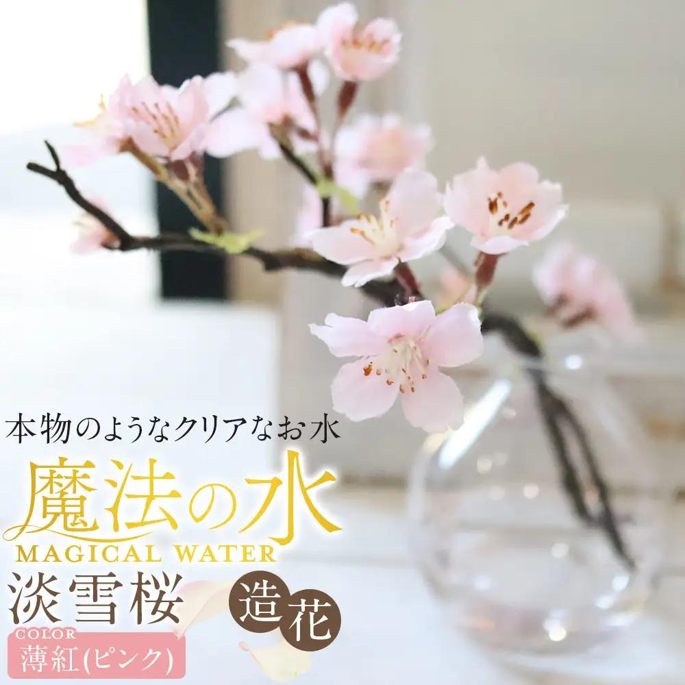 新春　淡雪桜　さくら　魔法の水　マジカルウォーター『薄紅』