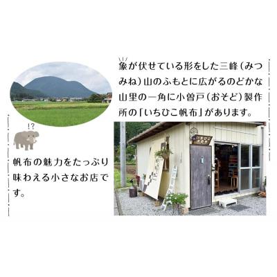 ふるさと納税 栃木市 【いちひこ帆布】 ミニボストン/ネイビー |  | 02