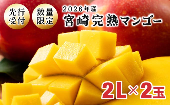 KU019 【令和8年発送分　先行予約！】＜数量限定＞ 串間産完熟マンゴー（2L×2玉）