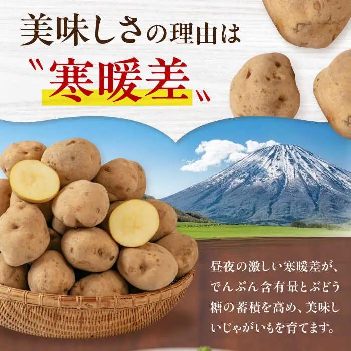  【先行予約】じゃがいも 食べ比べセット 20kg じゃがいも AJAK014