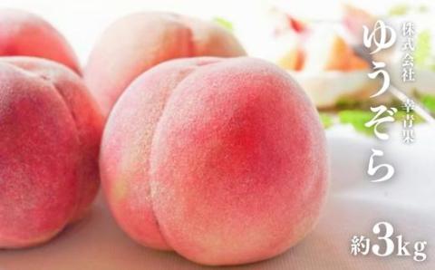 No.2653福島のもも　ゆうぞら　約3kg【2025年発送】