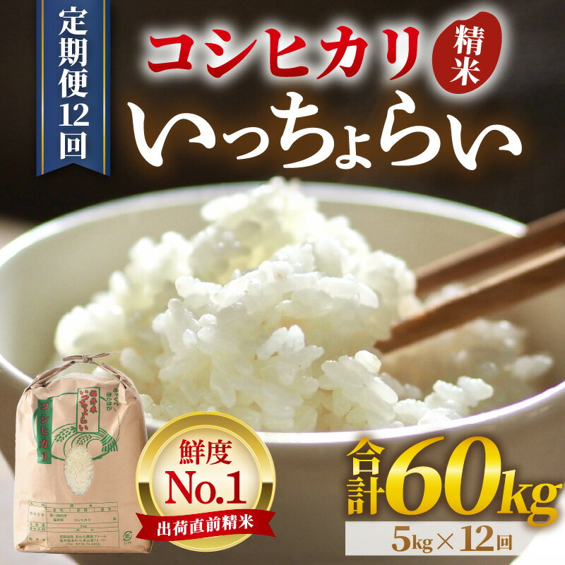 【ふるさと納税】【令和7年産・新米】【一等米】《定期便12回》いっちょらい 精米 5kg × 12回（計60kg）／ 米 定期便 お米 5キロ 福井県産 ブランド米 コシヒカリ ご飯 白米 新鮮 大賞 受賞 新米 福井県 あわら産