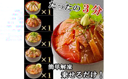 【6ヶ月 定期便】漬け丼 5種×1パック 計5食セット | 定期便 漬け丼 海鮮 惣菜 冷凍 真空パック 小分け 海鮮丼 海鮮セット 詰め合わせ 旬の鮮魚 ハマチ カンパチ カツオ 鯖 サバ ヒラマサ