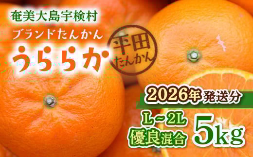 【2026年1月下旬～出荷開始】 ブランド たんかん うららか (5kg) 【先行予約】L 2L サイズ 糖度10%以上 数量限定 期間限定 タンカン 果物 フルーツ 柑橘 奄美大島 宇検村 鹿児島