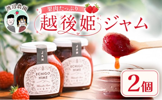 
                  いちご 越後姫 ジャム 190g×2個 からだよろこぶ越後姫 イチゴ 苺 定植後化学農薬不使用 渡辺農園 上越市 新潟県
                