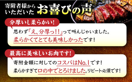 【全6回定期便】希少部位！  博多和牛 牛肉 ヒレ ステーキ 400g（200g×2） ＜肉のくまもと屋＞那珂川市 牛肉 ヒレ ヒレ肉 ステーキ ヒレステーキ 定期便 牛肉 肉 黒毛和牛 ブランド牛 