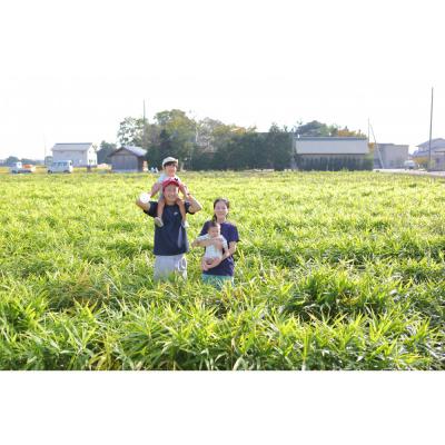 ふるさと納税 出雲市 出雲生姜じんじゃエール10本セット |  | 03