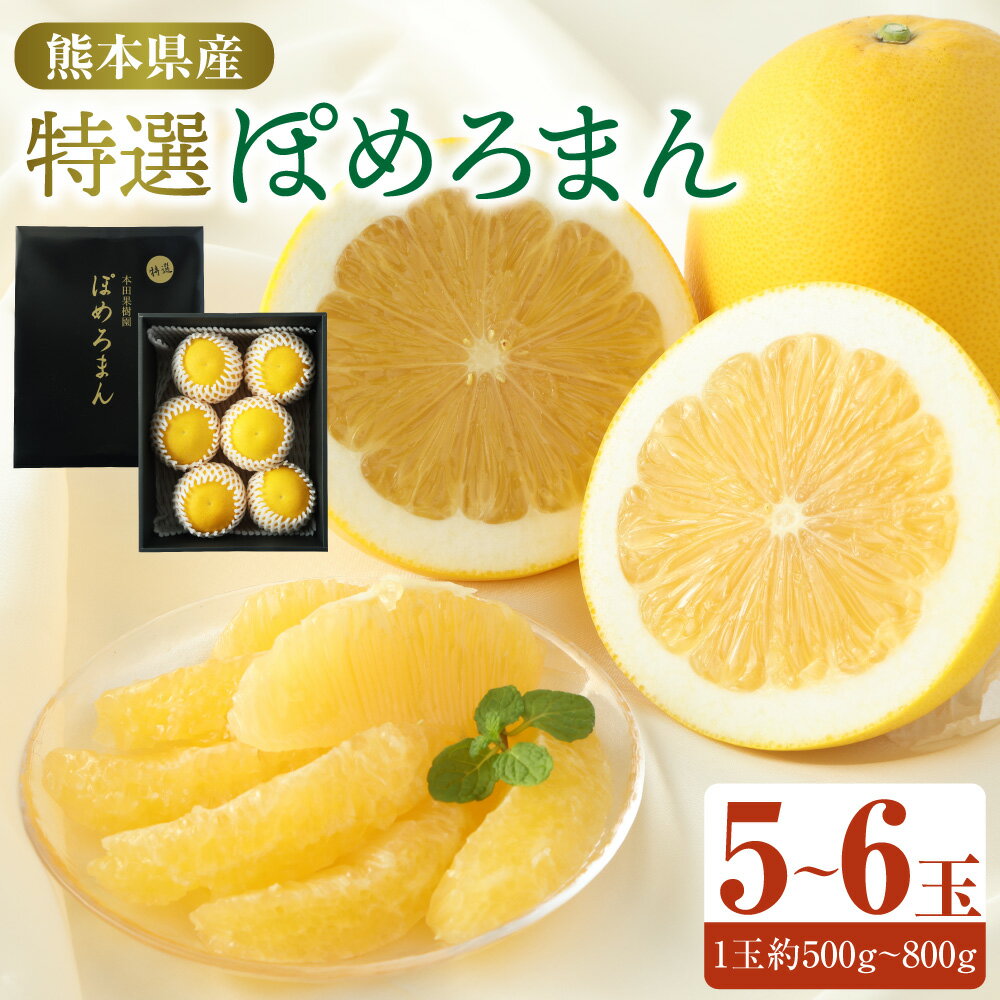 【ふるさと納税】特選ぽめろまん 5～6玉 化粧箱入 1玉約500g～600g 温室栽培 果物 フルーツ 柑橘 希少 文旦系の果物 みかん 玉名 国産 熊本県 送料無料 【2027年1月下旬発送開始】