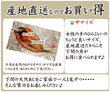 下関産天然あじ一汐干し70ｇ×３パック AU236-NT