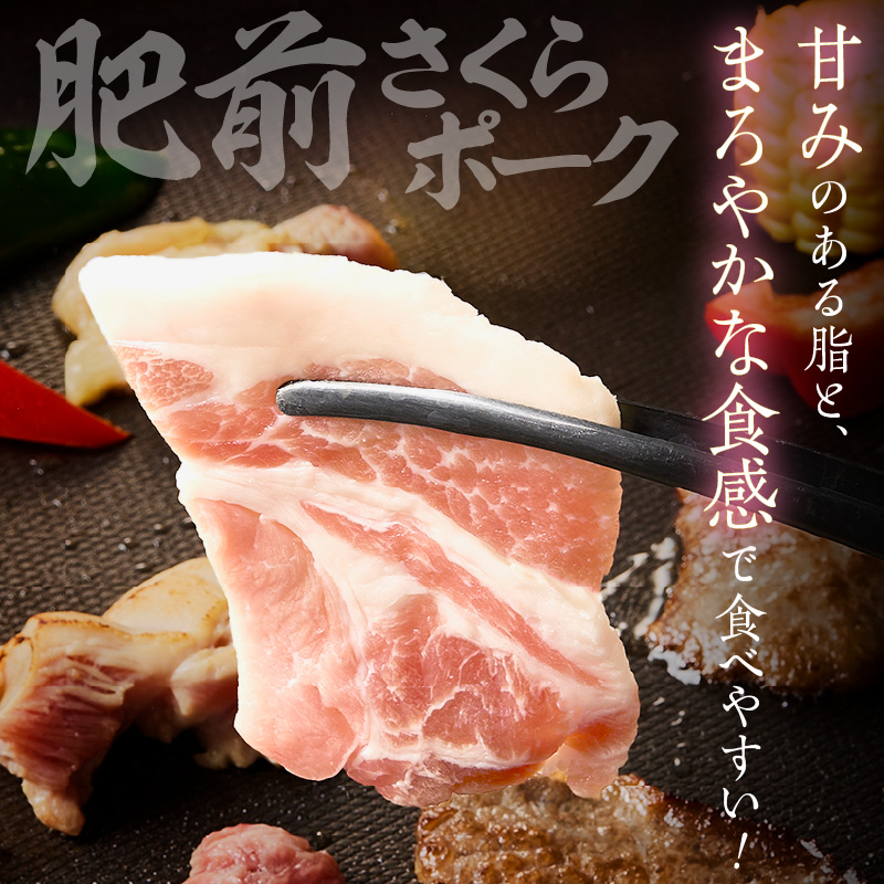 佐賀の恵み 三種焼肉セット（佐賀牛・有田鶏・肥前さくらポーク）×4セット 015-J1630