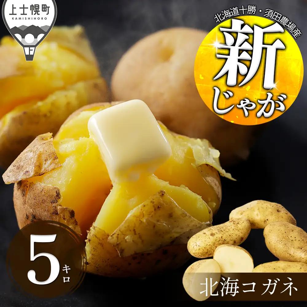 2026年産 北海道産 新じゃが じゃがいも ホッカイコガネ 5kg 北海道 上士幌町 須田農場 野菜 ジャガイモ 馬鈴薯 北海こがね 産地直送 ◆2026年9月下旬発送開始予定